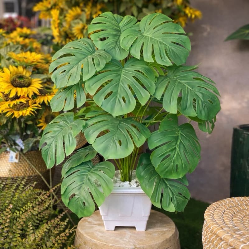 Planta Costela Adão Artificial Vaso 18 Folhas Realistas Decoração Moderna Sala Escritório Jardim