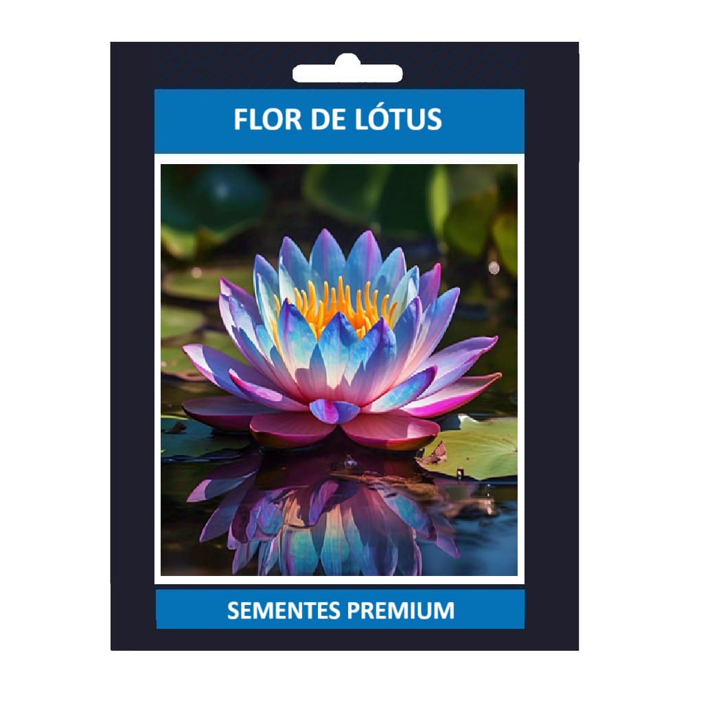 10 Sementes de Flor de Lótus Noturna (Nelumbo obsidiana) Com Manual de Plantio III