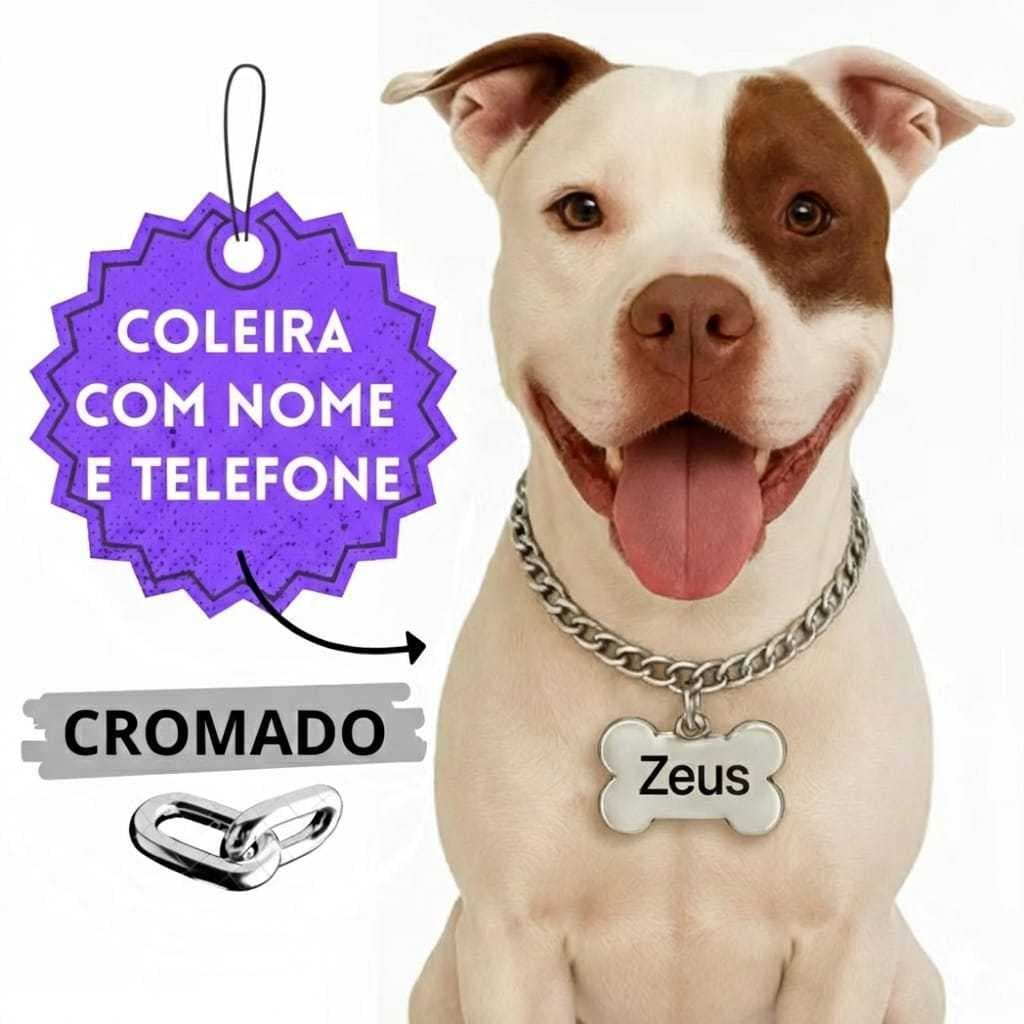 Coleira para Cachorro Cromada Corrente Colar Enforcador com Nome e Telefone