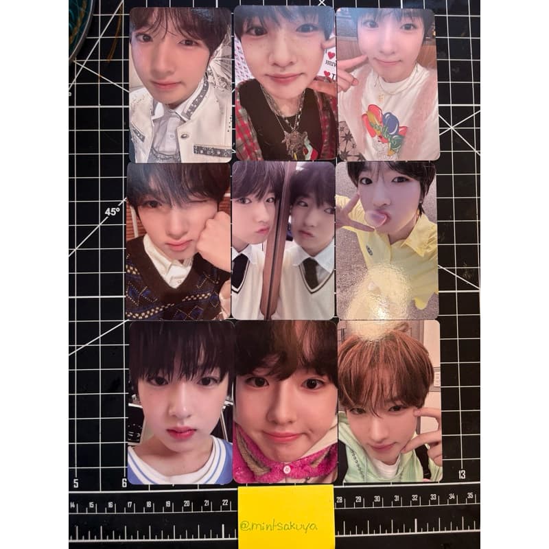 coleção photocards sakuya Nct wish kpop card álbum poppop steady jaehee ryo sion yushi riku