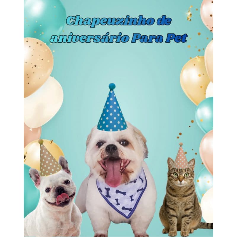 chapeuzinho personalizado de aniversário para Pet