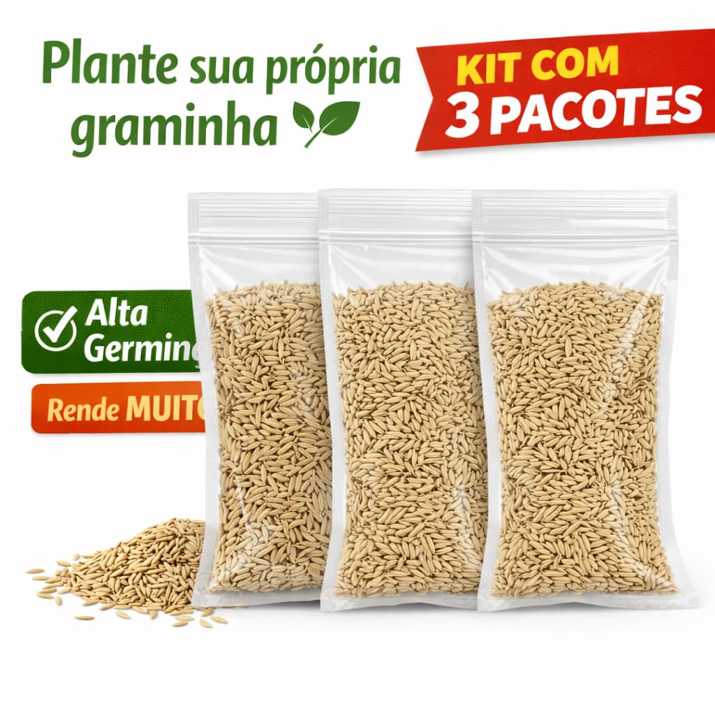 KIT COM 3 - Sementes Haiglas Premium para Gatos 20g | Cultivo Fácil em Casa | Alta Germinação