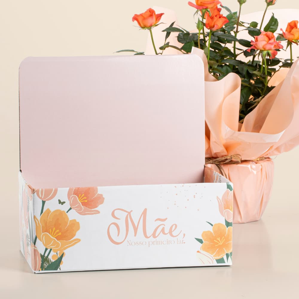 Embalagem Dia das Mães - Caixa Display para Cestas e Presentes (Kit com 03 unidades)