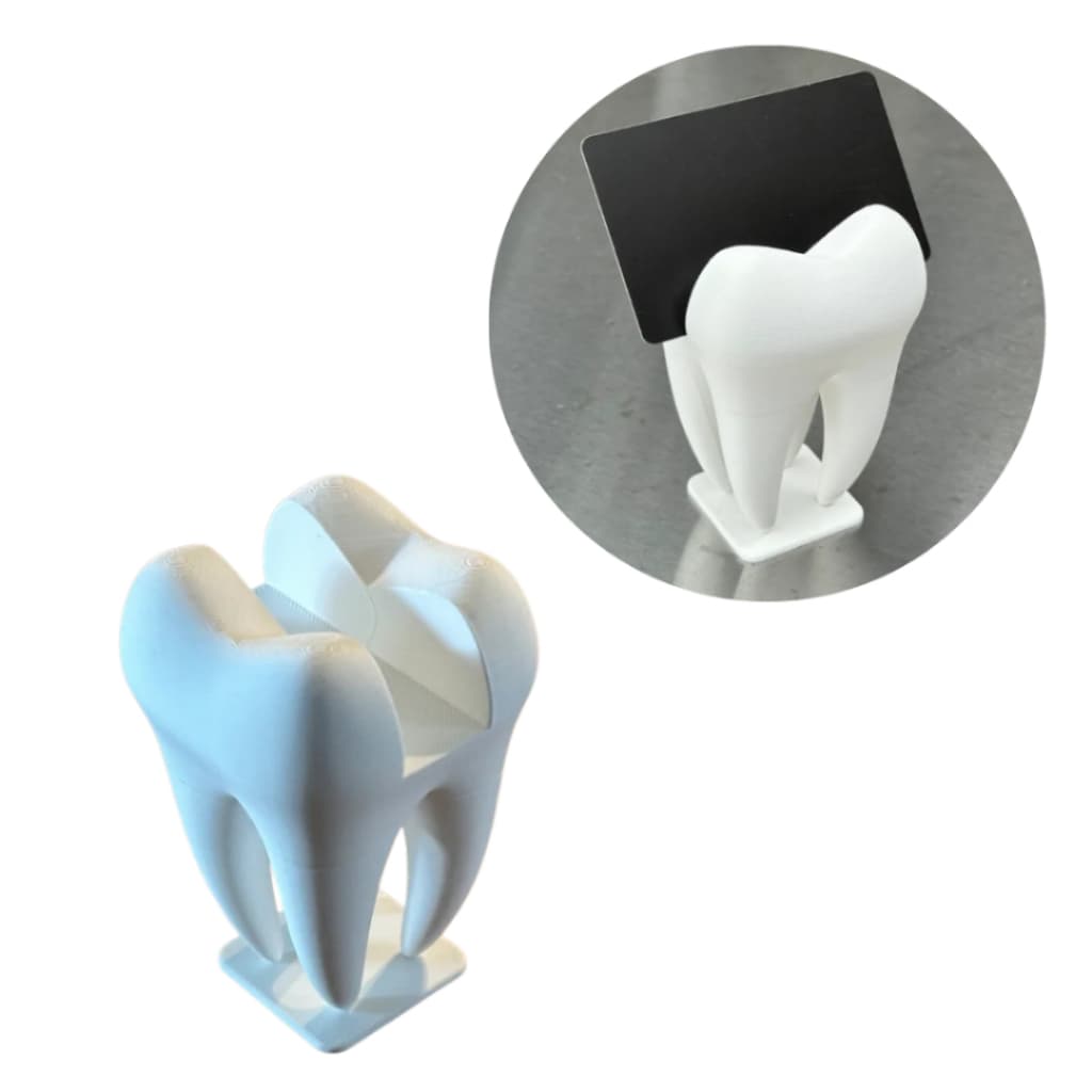 Porta Cartão De Visita Dente Molar Dentistas Odontologia