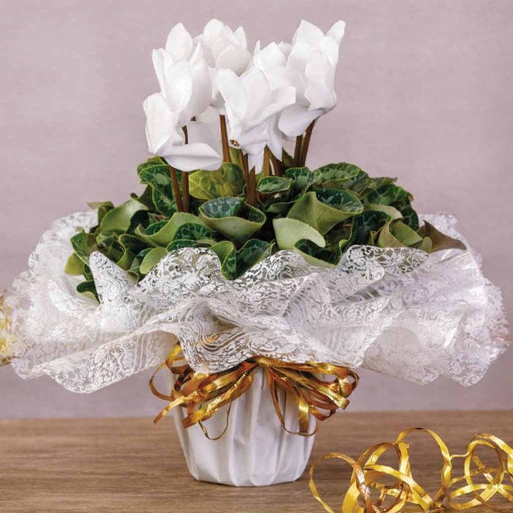 Poli redondo Fundo de Cesta Celofane Decorado 38x38cm decorado 10 25 fls.