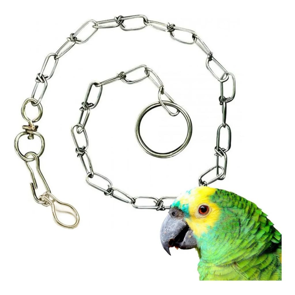 Corrente P/Papagaio/Arara/Pato/Aves grande porte Pacote Kit C/12 - 6 e 1 und - São Raphael