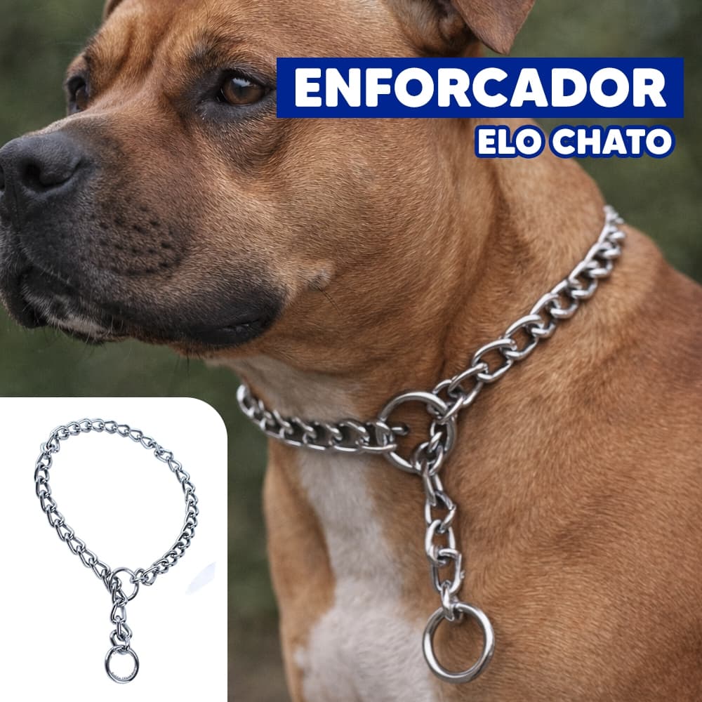 Enforcador Coleira Colar Elo Chato Reforçado para Cães