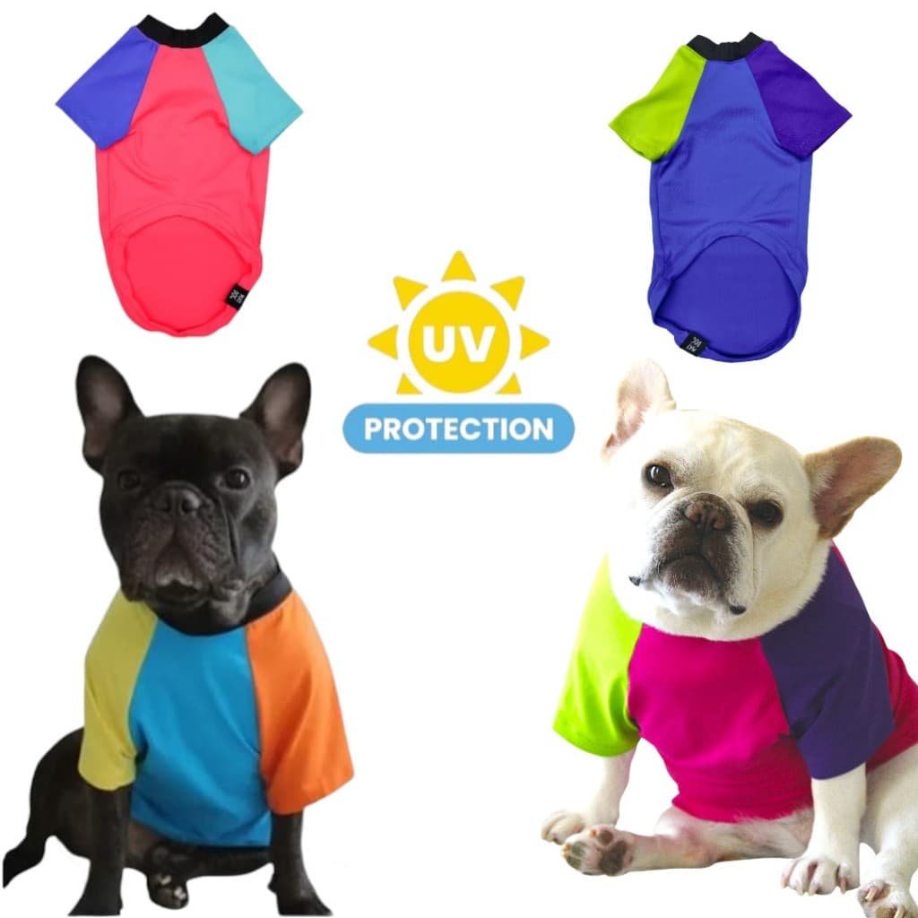 Roupa Pet Proteção Solar Uv 50+ Conforto E Segurança P Ao Xg
