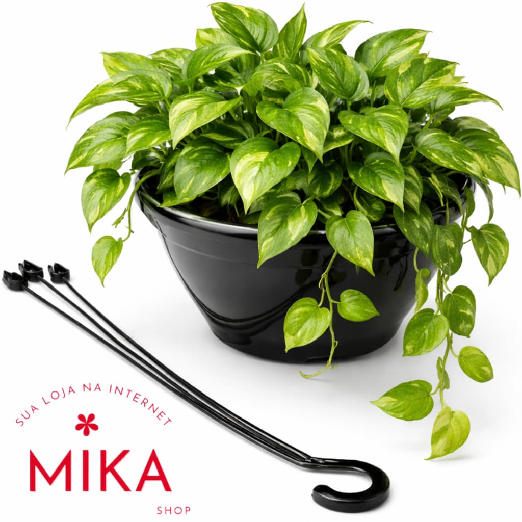 Kit 10 Vasos Cuia 21cm com Haste 43cm Resistente Ideal p/ Rosa do Deserto, Samambaia