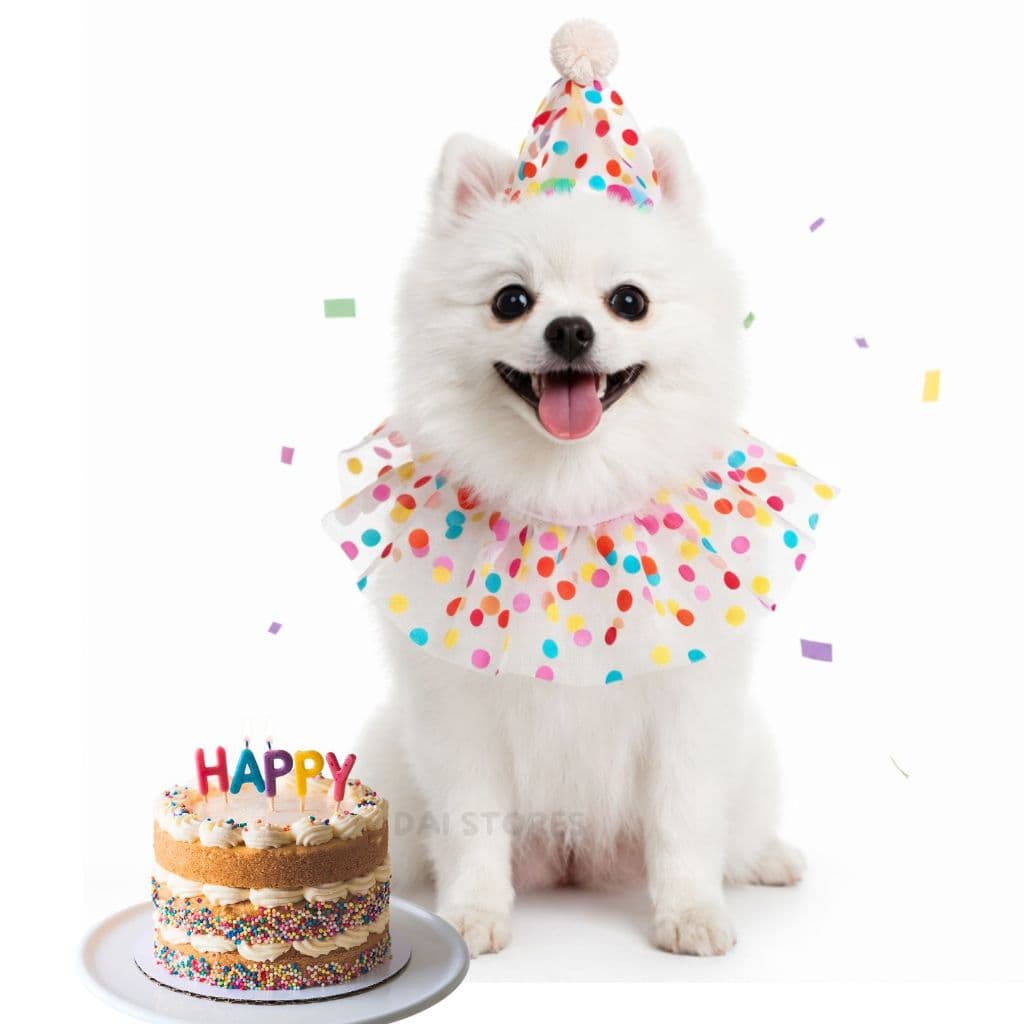 Fantasia Pet Kit Aniversario Chapéu E Bandana De Bolinha Roupinha para gato e cachorro pequeno porte