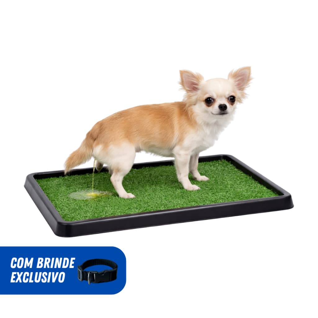 Tapete Higiênico Grama Sintética Sanitário Pet Lavável Cães e Gatos + Coleira Preta ENVIO IMEDIATO