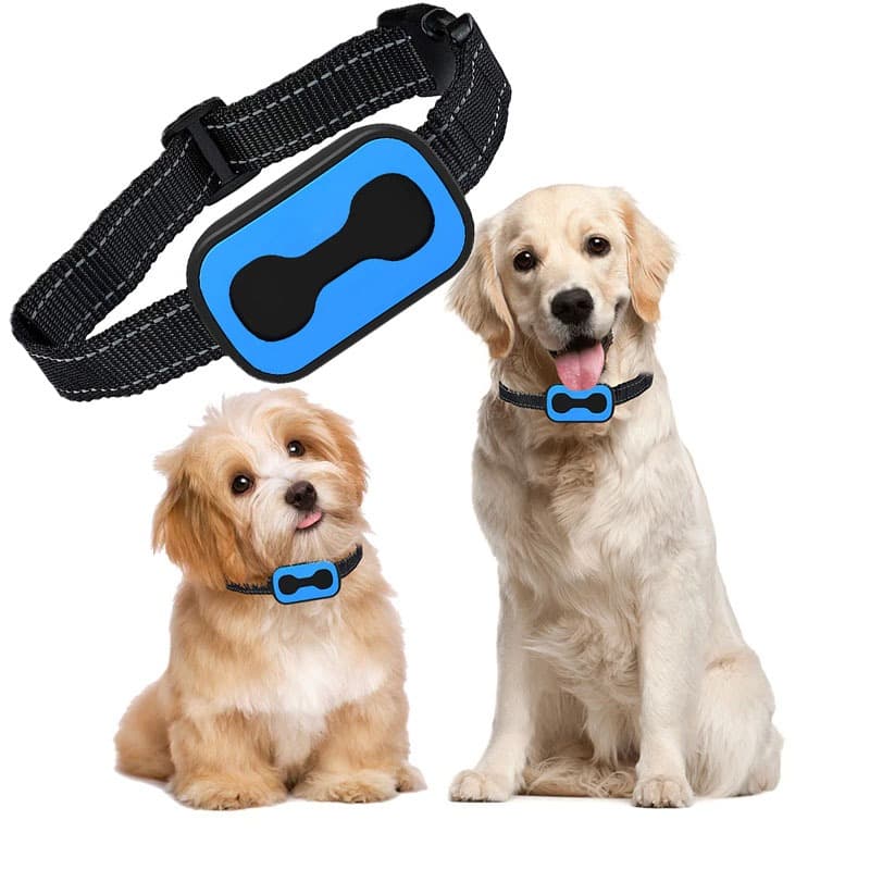 Coleira Anti Latido Adestramento Recarregável Vibração Som Sem Choque Cachorro