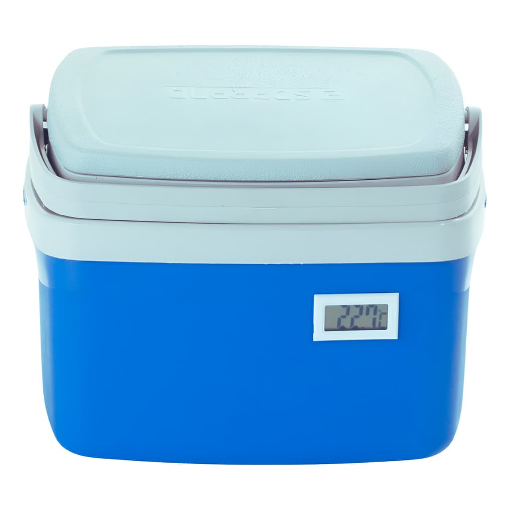 Caixa Térmica Cooler 5 Litros Com Termômetro Digital Simples Ideal Para Transporte De Vacinas