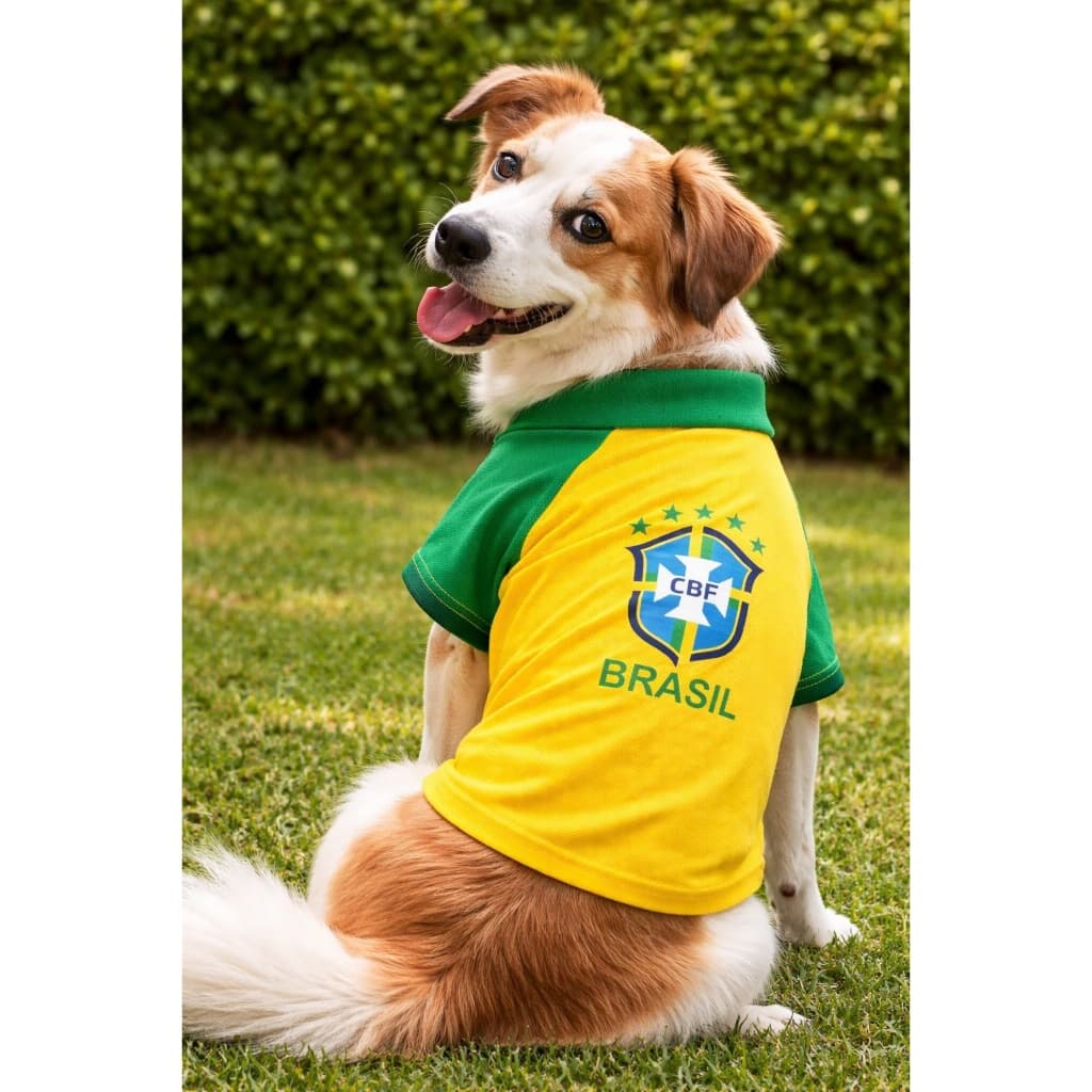 Camisa Brasil copa do mundo pet