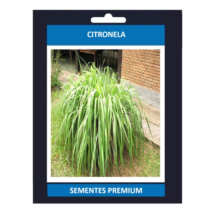 PROMOÇÃO PROMOÇÃO 200 Sementes Citronela Repelente Do Mosquito Da Dengue Zika + Manual de Plantio ENVIO RÁPIDO III Premi