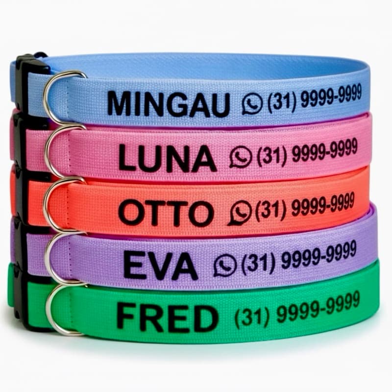 Coleira de gato elástica com nome e telefone whatsapp - Coleira para gato identificação