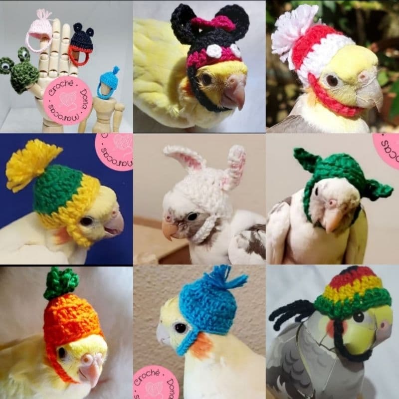 Calopsita gorrinho touquinha crochê Calopsita pet artesanal mini kawaii - várias opções.
