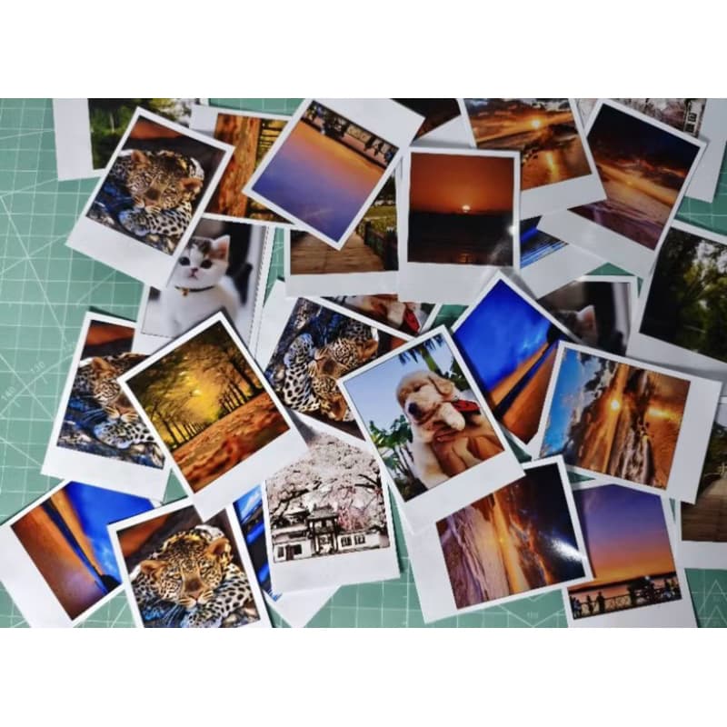 mini foto polaroide 5x7 15 unidades