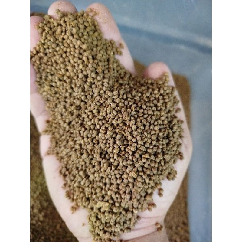 Ração Premium Nutritiva para Tartarugas, Répteis e Jabutis