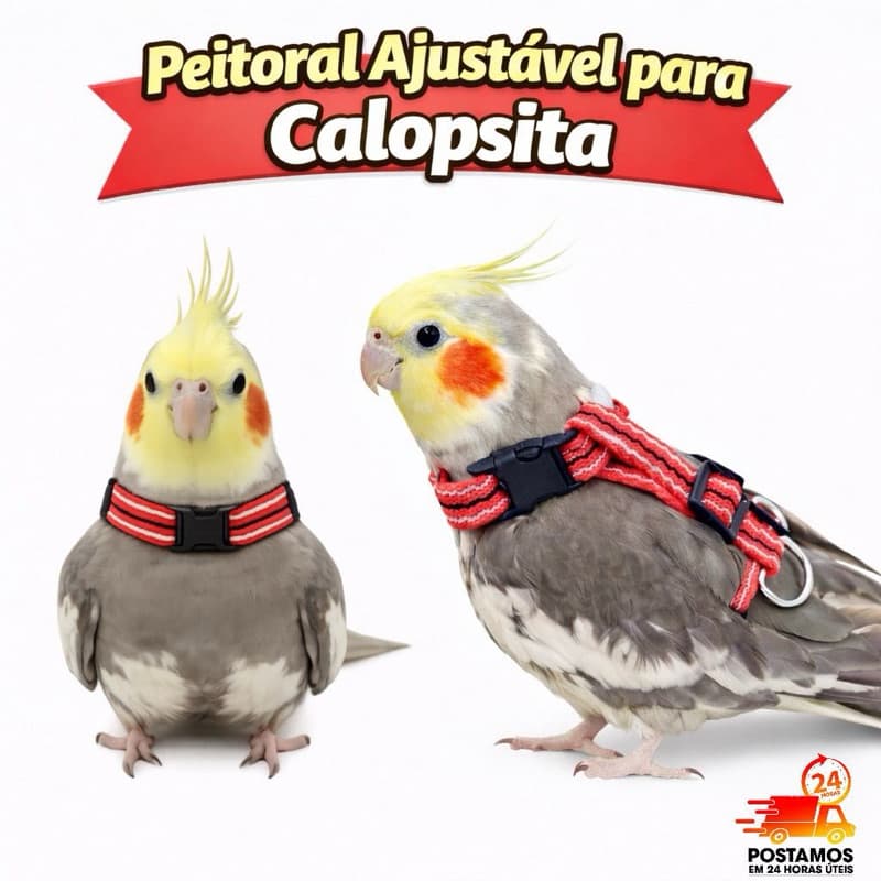 Coleira Peitoral com Guia Ajustável para Pássaros (Calopsita, Agapornis e Similares) 🐤🦜