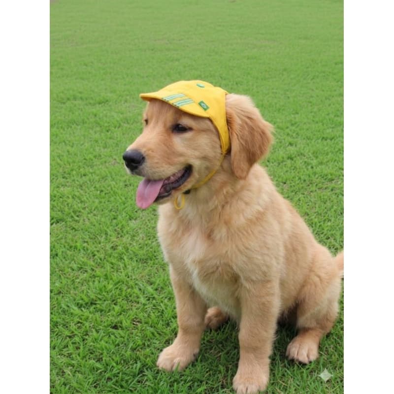 Bone pet copa do mundo/Bone para caes e gatos.