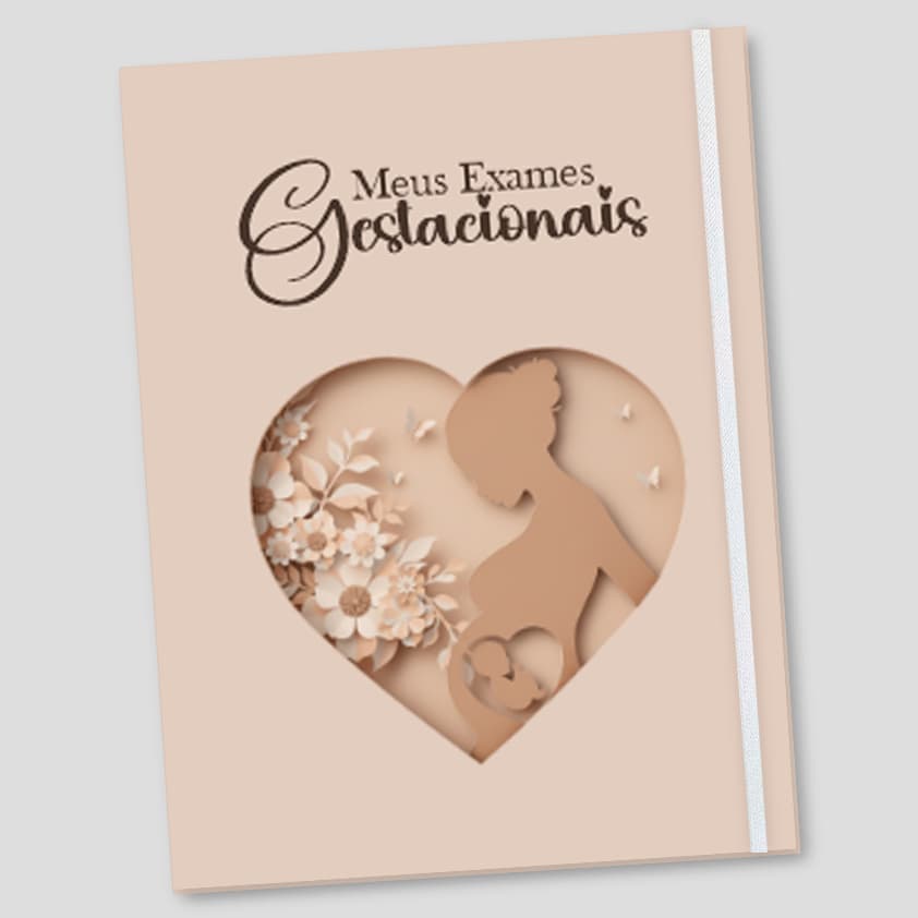 Pasta Documentos Gestante - Pasta Catalogo