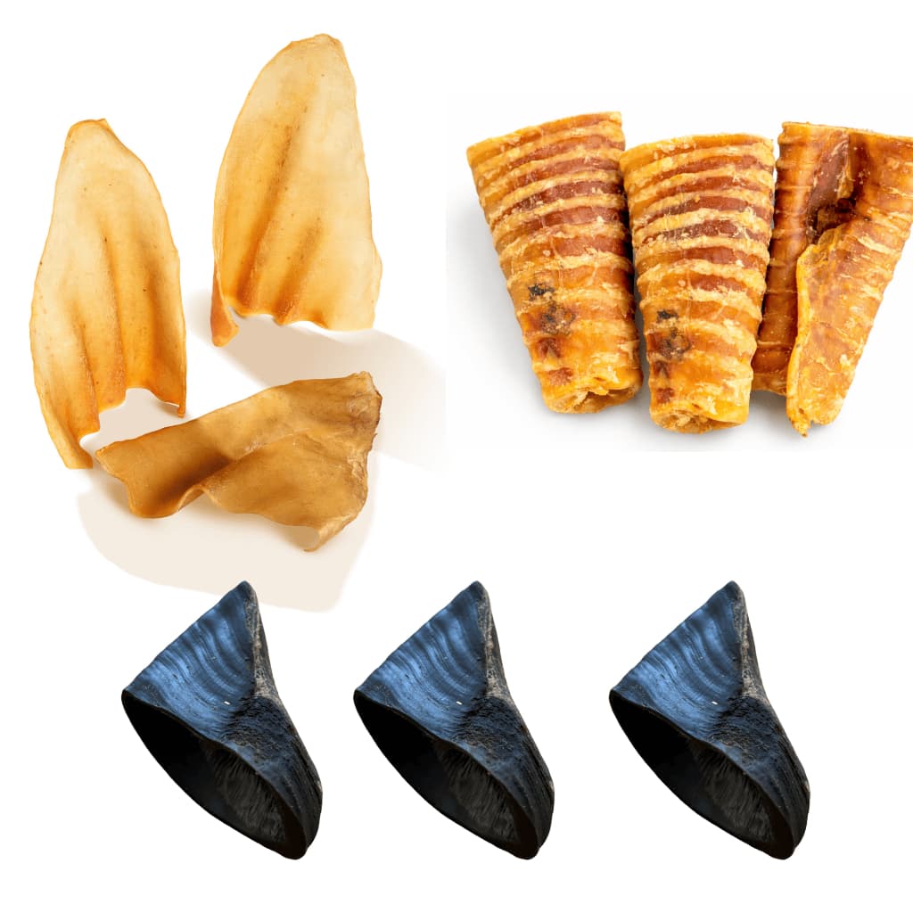 Mordedor Natural para Cães Casco Bovino Traqueia Bovina Orelha Bovina Kits Sortidos