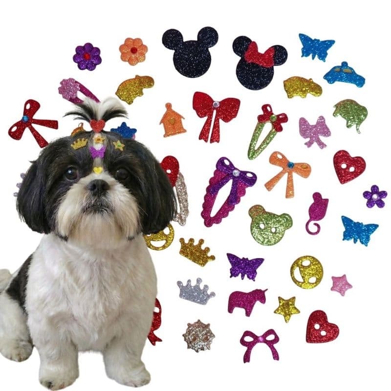 30 adesivos EVA Pet Sortidos