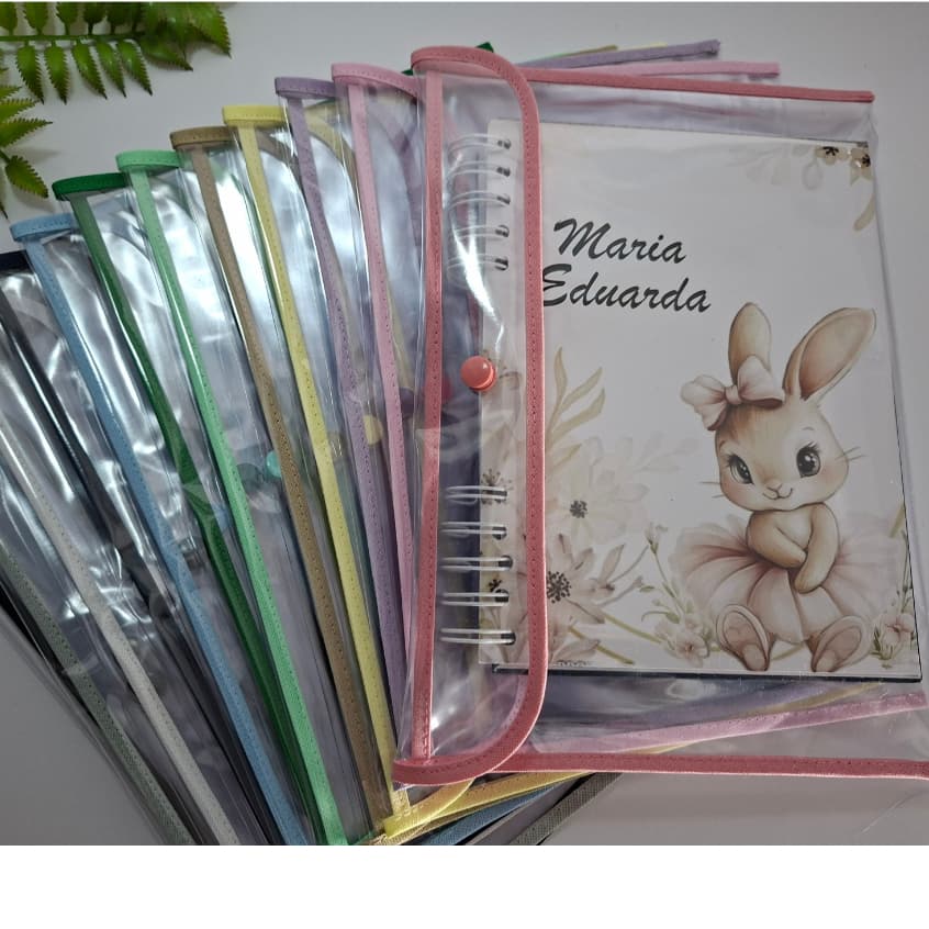 capa plástica para caderneta de vacinação