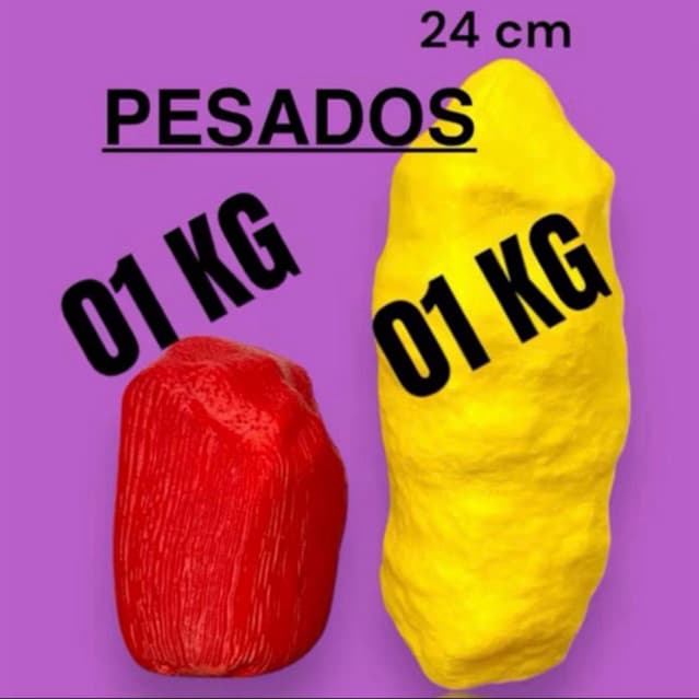 Modelo Anatômico de Gordura e Músculo - 01 kg