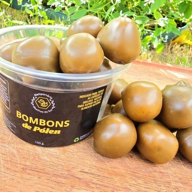 BOMBOM DE PÓLEN PROTEICO 100G PARA ABELHAS SEM FERRÃO