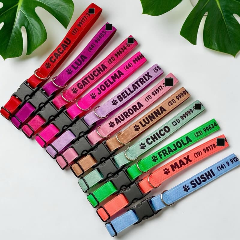 Coleira personalizada para gato - Coleira de identificação nome e telefone.