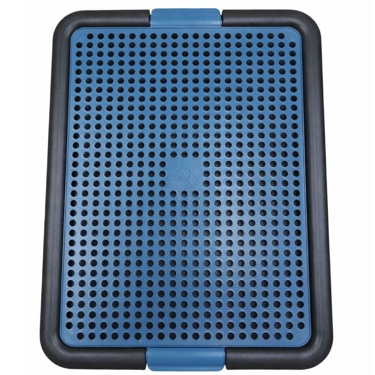 Sanitário Pet Tapete Pra Cachorro Fazer Xixi Educador Higiênico Pet