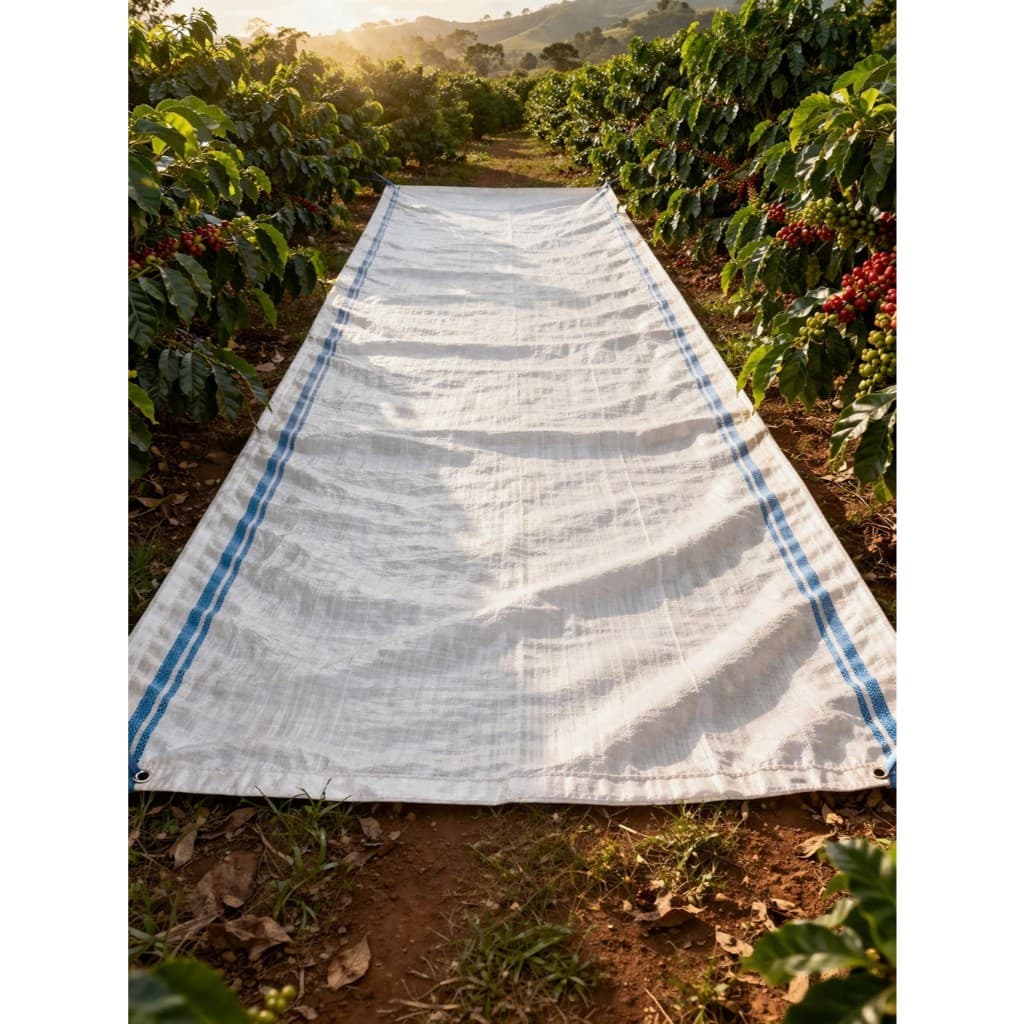 Pano De Ráfia Polietileno para Colheita de Café 12x2,70