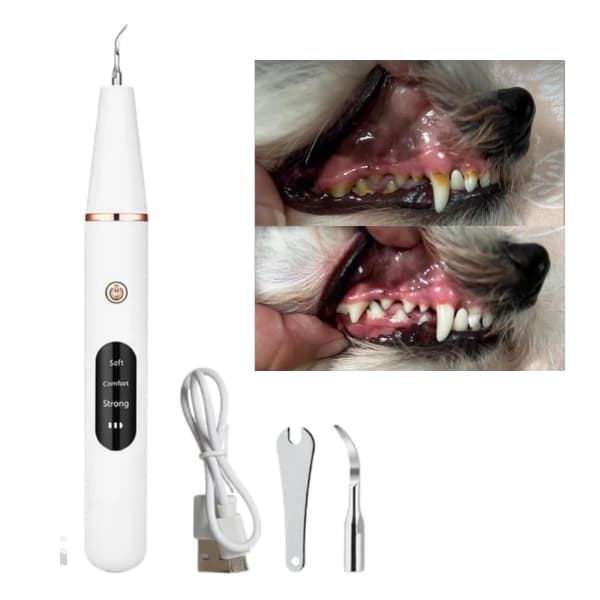 Aparelho Removedor de Tártaro Pet