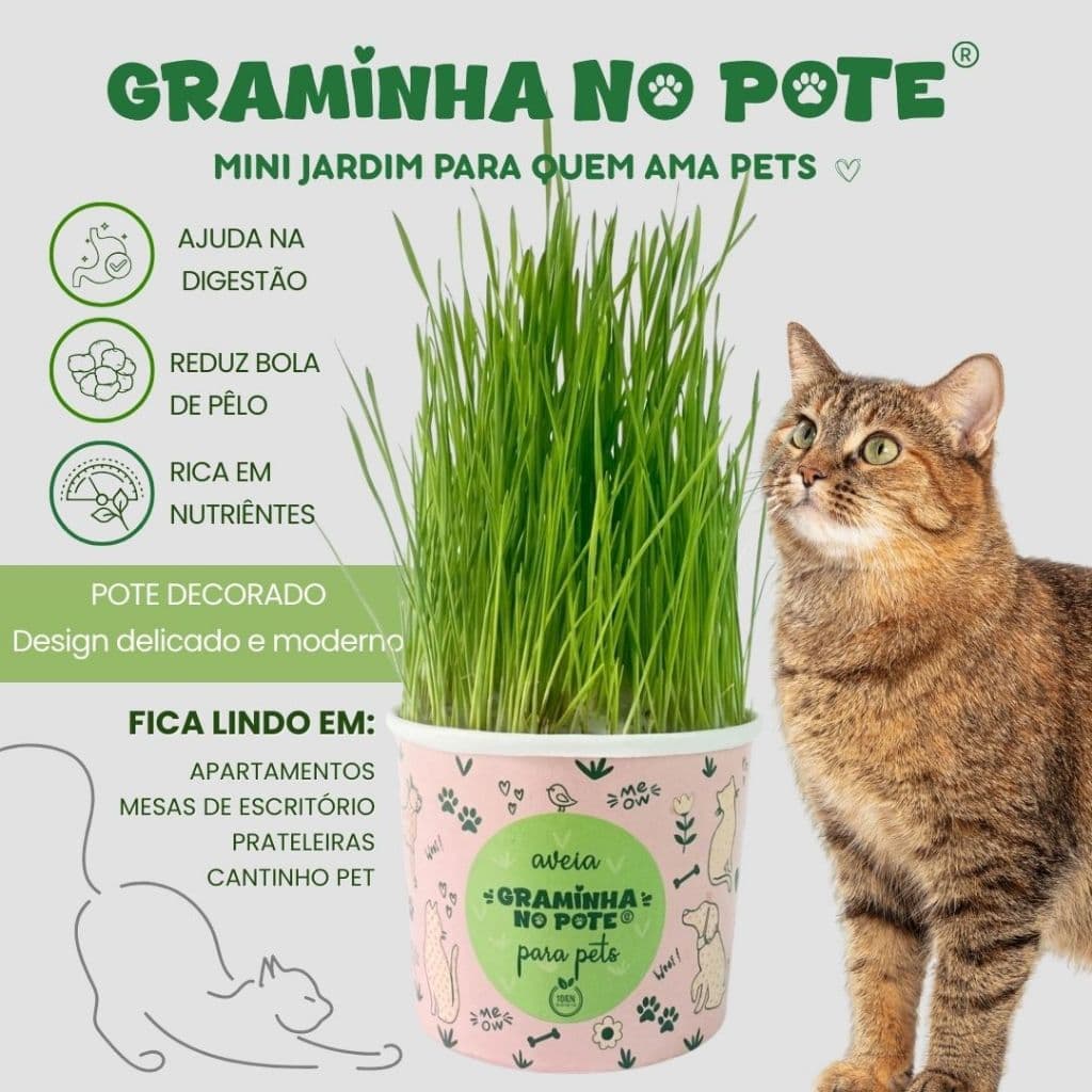 Graminha no Pote para Gatos – Orgânica | Auxilia na Digestão e Bola de Pelo