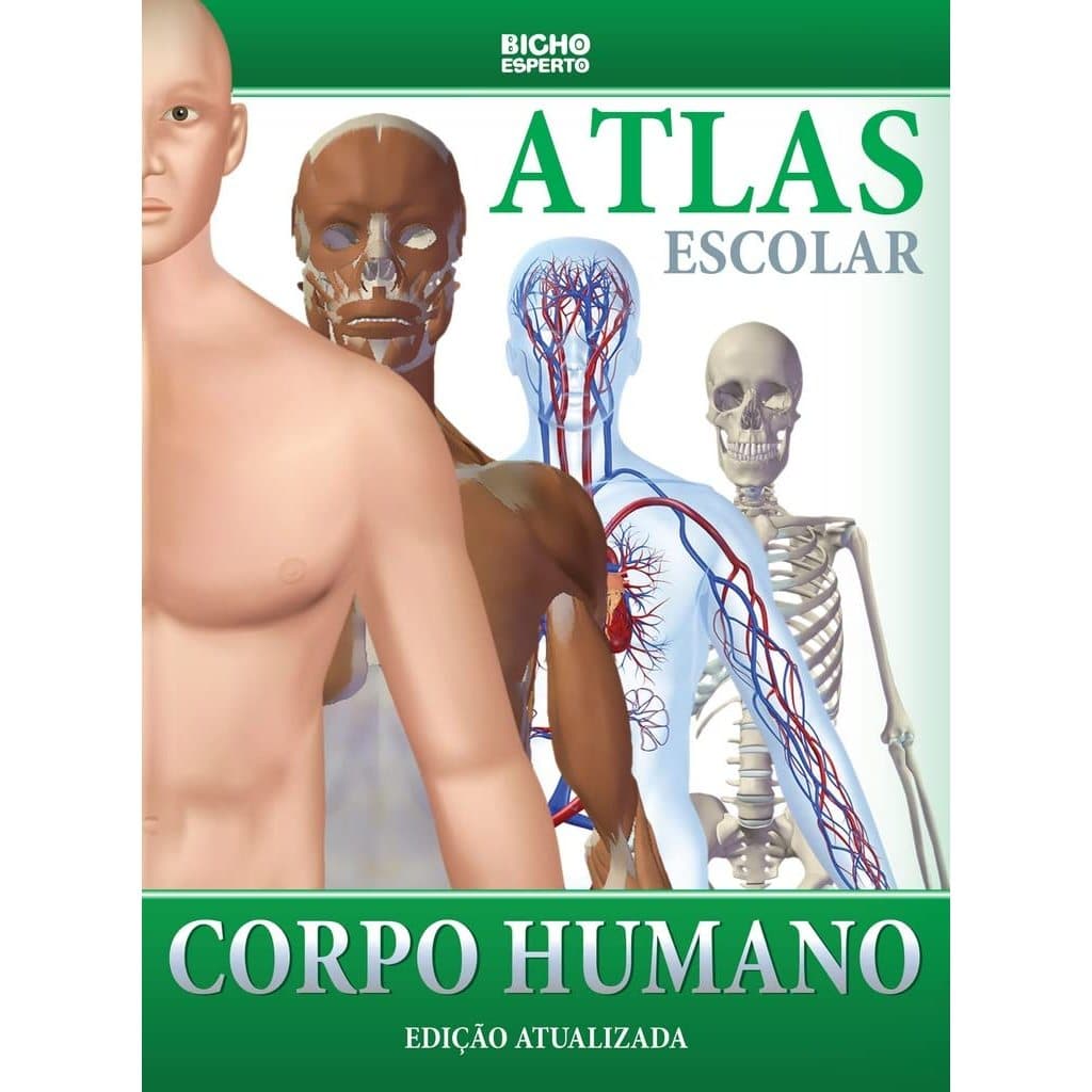 Livro Atlas Corpo Humano Ilustrado 32 Paginas