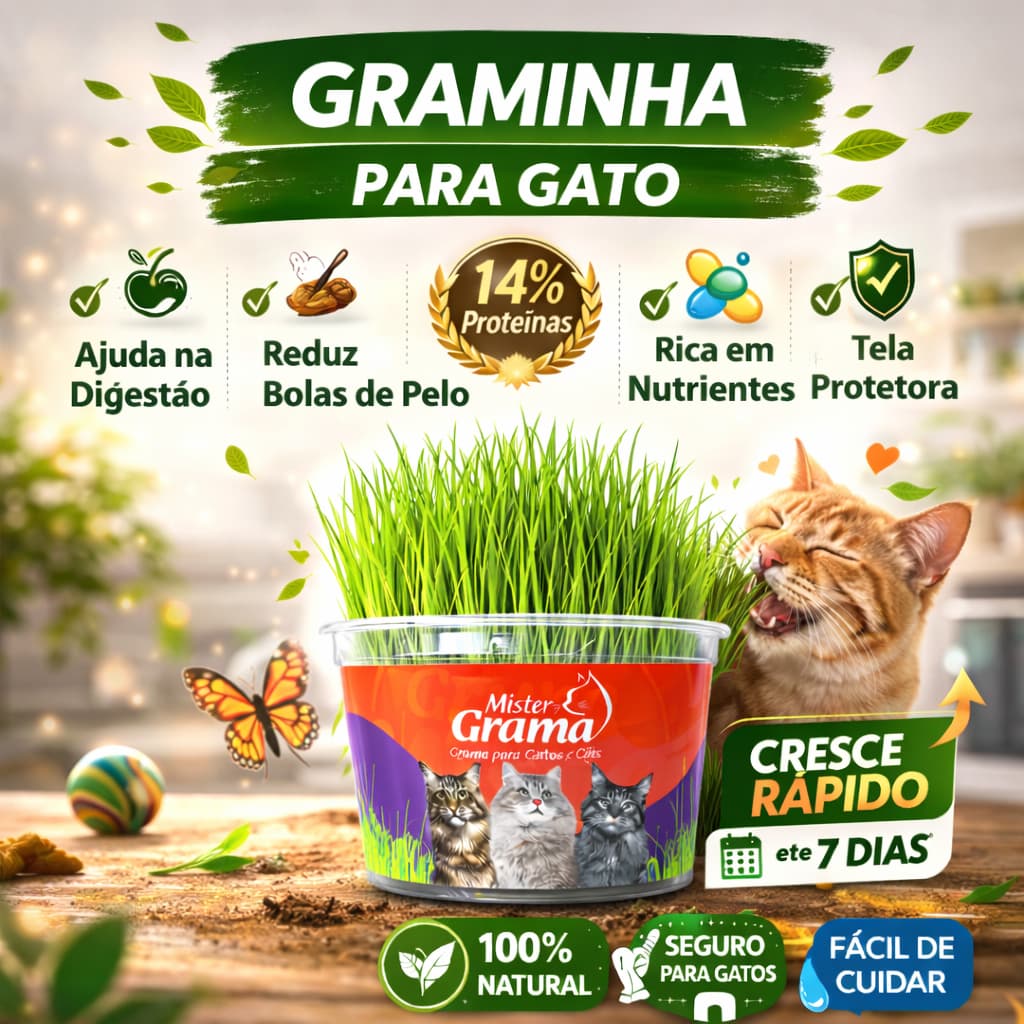Grama Para Gato Mister– Auxilia na Digestão e Bola de Pelo / Fácil de Plantar