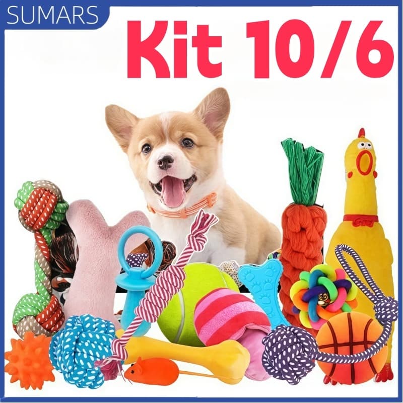 Kit 10/6 Brinquedos Mordedor Cachorro Filhote Anti Estress Pet Ranger os dentes Limpeza da boca