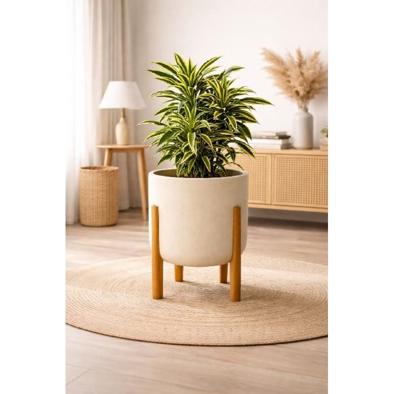 Vaso de Planta com Pé de Madeira - Vaso Nórdico com Suporte