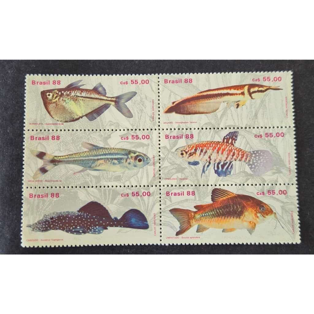 Selo dos correios-divulgação da psicultura e aquariofilia peixes de água doce selos Mint C1608/1613