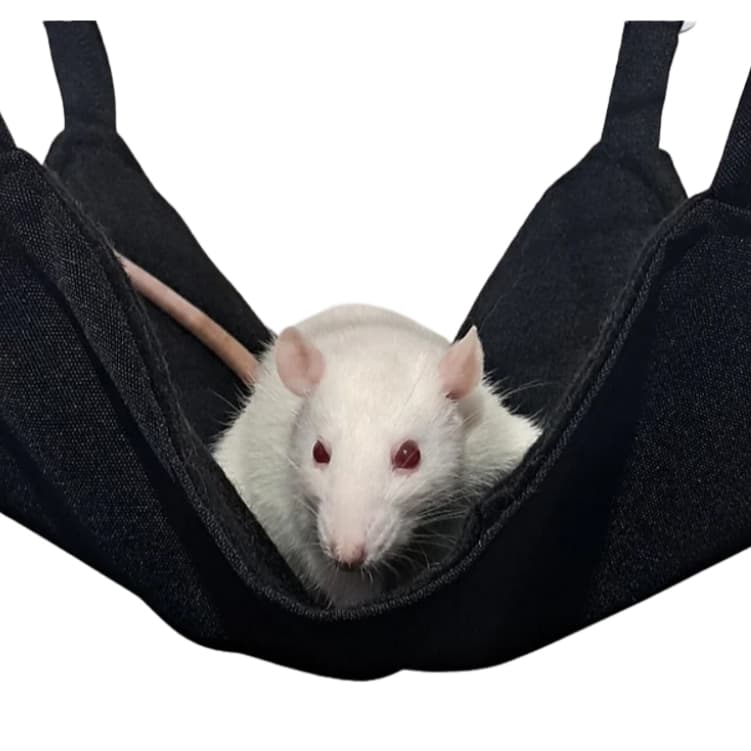 Rede Simples Para Rato Twister 24x24 (não acompanha ganchos)