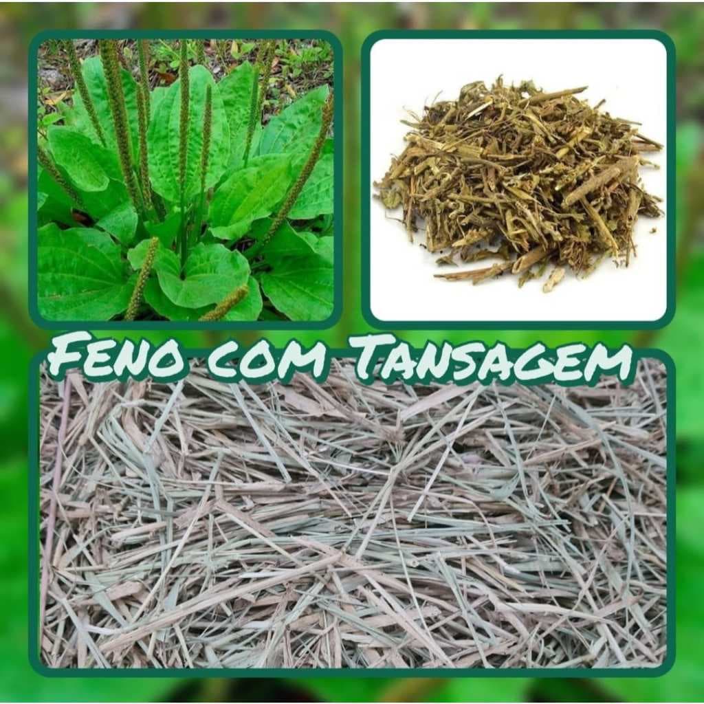 Feno com Tansagem Super Premium 500g