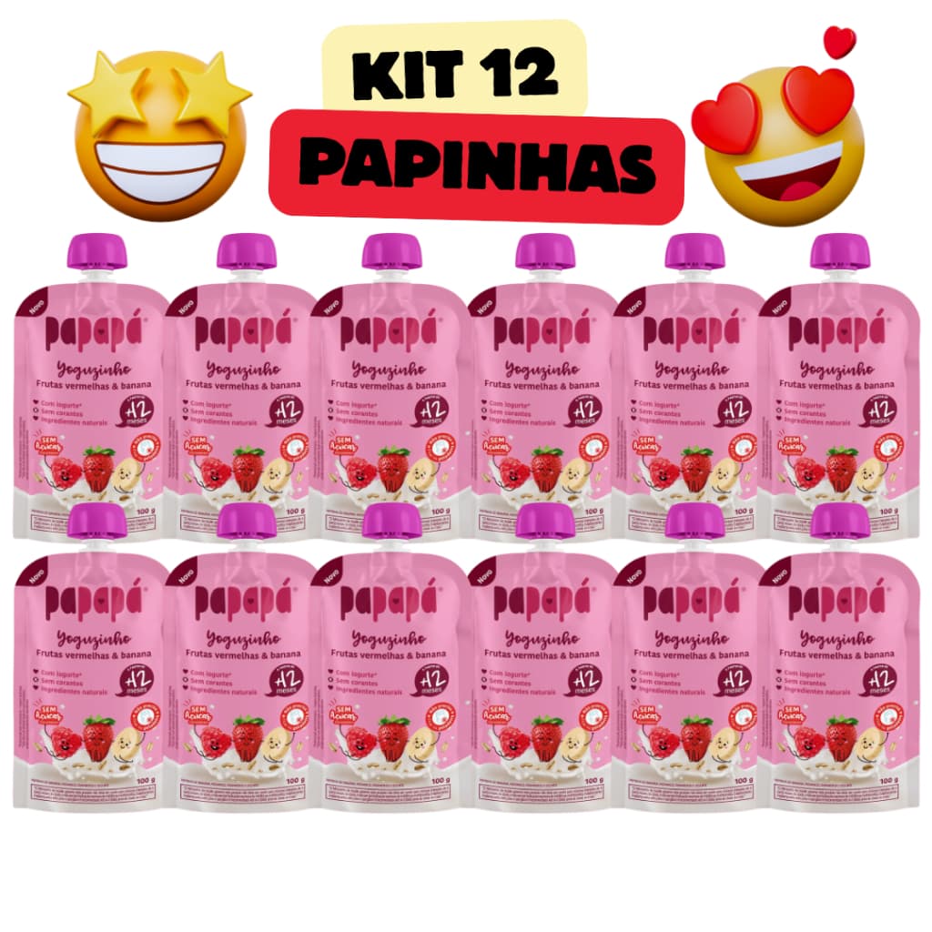 PAPAPA KIT 12UN - 1 SABOR - PAPINHA ORGANICA 100G