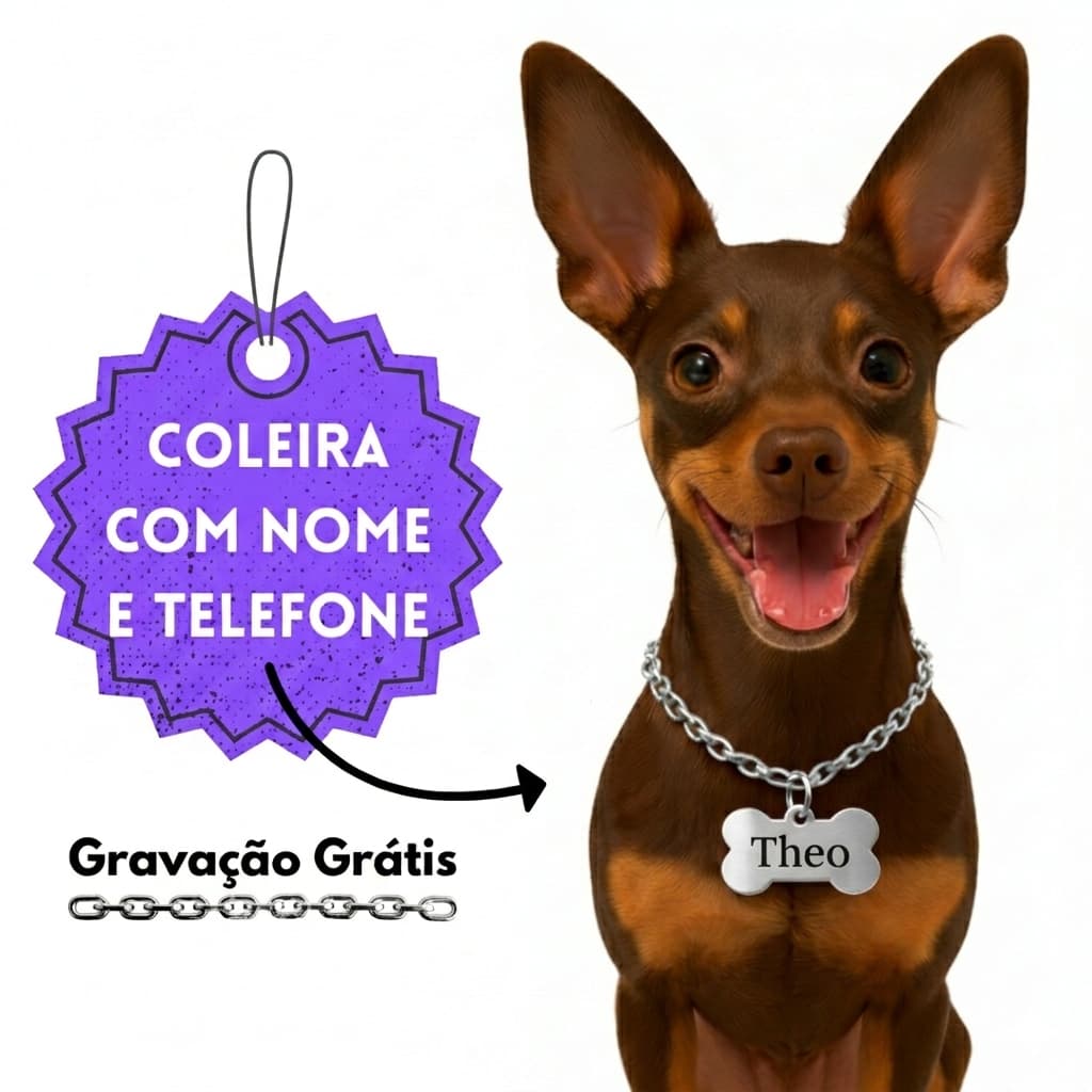 Coleira para Cachorro Pequeno e Médio Gargantilha de Identificação com Nome e Telefone