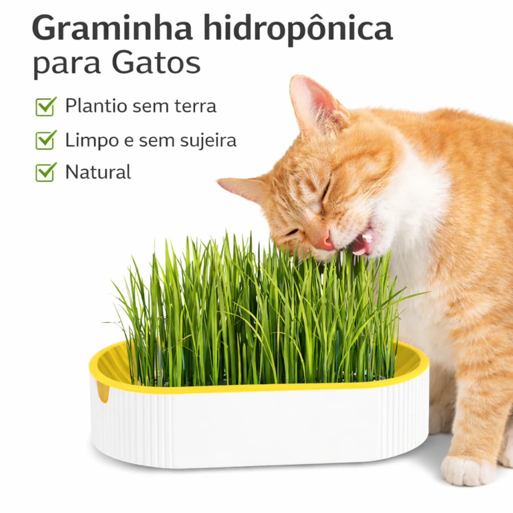 Graminha para Gatos Hidropônica Vaso sem Terra Elimina Bola de Pelo Saudável Pet + Sementes