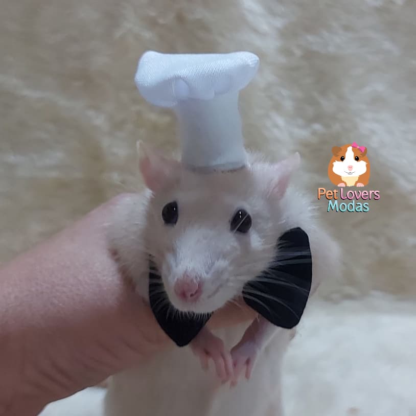 Chapéu Pet de cozinheiro para roedores rato twister Remy Ratatouille + Gravata Borboleta
