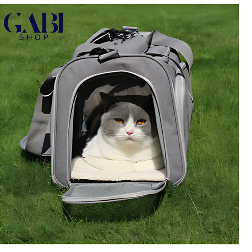 Bolsa Mala Mão Transporte Viagem Pet Luxo Cães E Gatos GABI SHOP
