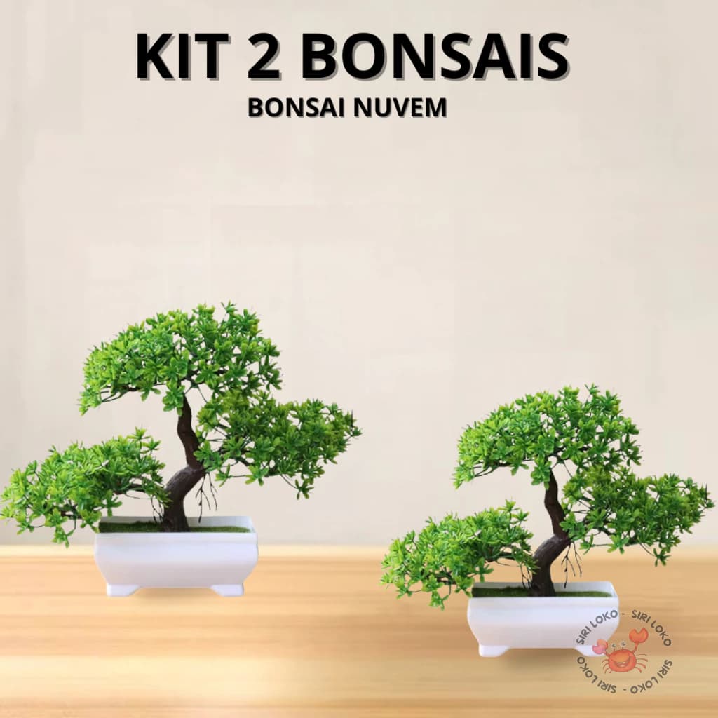 Kit 2 Bonsais Artificial  Realista Natural  Bonsais Nuvem Fortuna Barba de Dragão  Abundância
