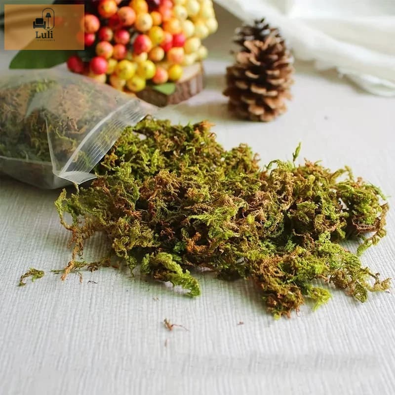 Musgo verde para Artesanato arranjo, decoração,  Flores Artificiais - Pacotinho com 20g